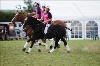 UKPA  NC Sat_1380
